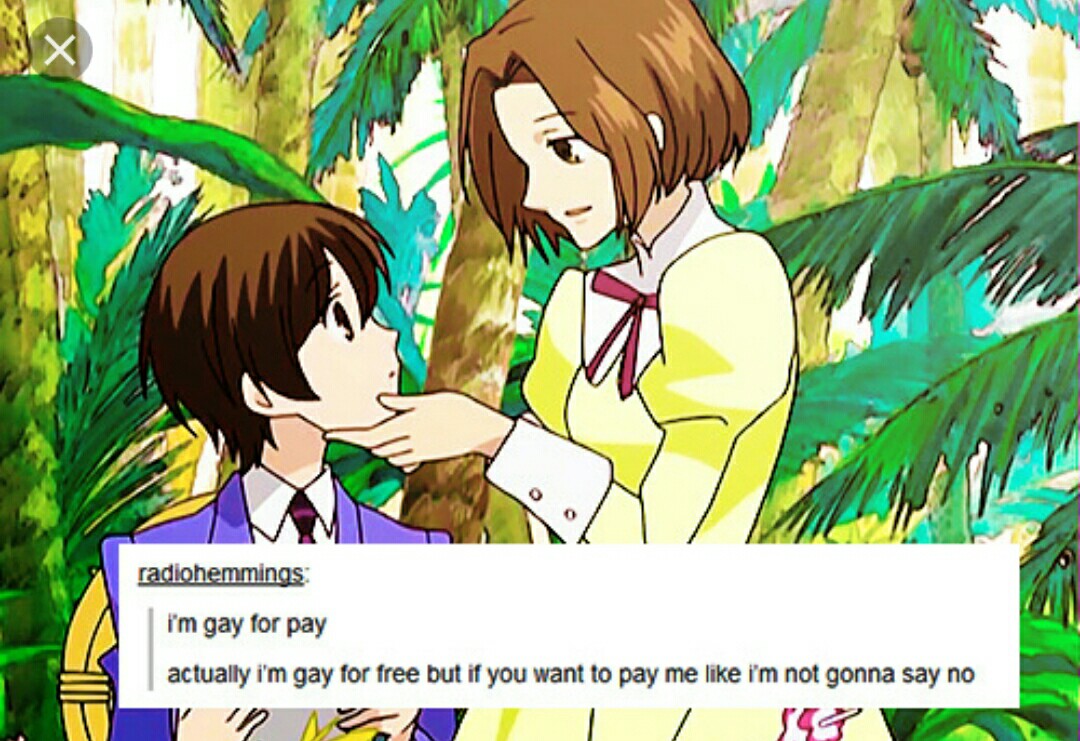 Gay For Pay Tumblr
